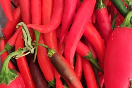 Chili Festival in Sia