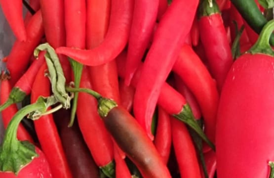 Chili Festival in Sia