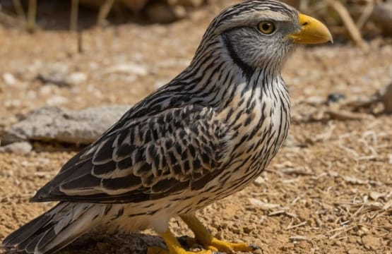 Booking Holidays to Cyprus From	Torridge (district)