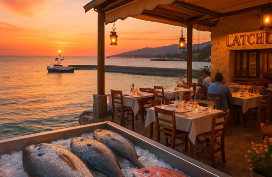 Fresh fish restaurant Latchi