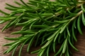Rosemary Rosmarinus officinalis